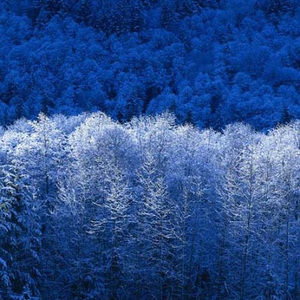 Meet your Posher, Sasha